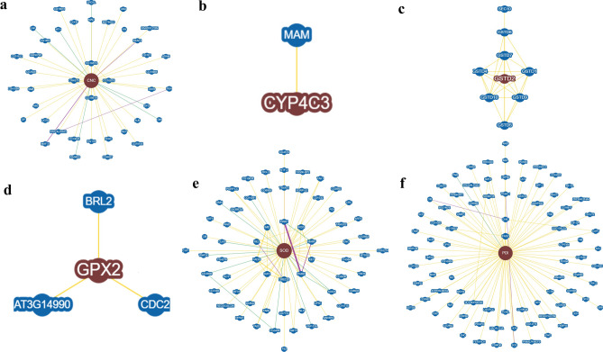 De novo Transcriptomic analysis to unveil the deltamethrin induced resistance mechanisms in Callosobruchus chinensis (L.).