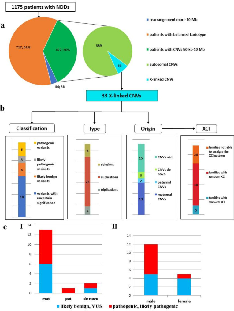 Prevalence of CNVs on the X chromosome in patients with neurodevelopmental disorders.