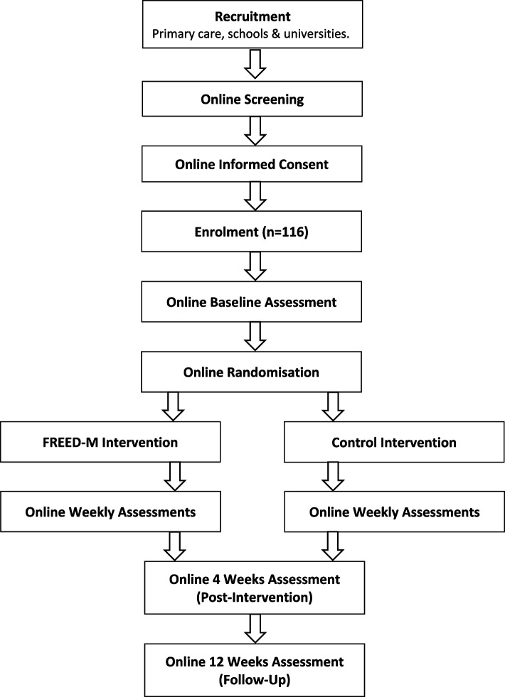Shortening duration of untreated illness in young people with first episode eating disorders: protocol of a randomised controlled feasibility trial of a smartphone friendly multi-modal decision-making tool (FREED-M) to improve help-seeking.