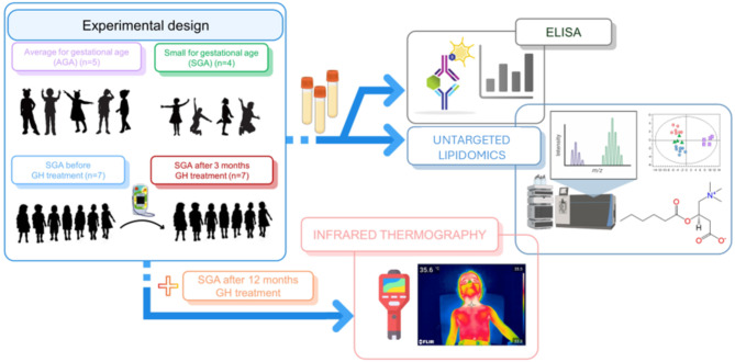 Effect of rhGH treatment on lipidome and brown fat activity in prepuberal small for gestational age children: a pilot study.