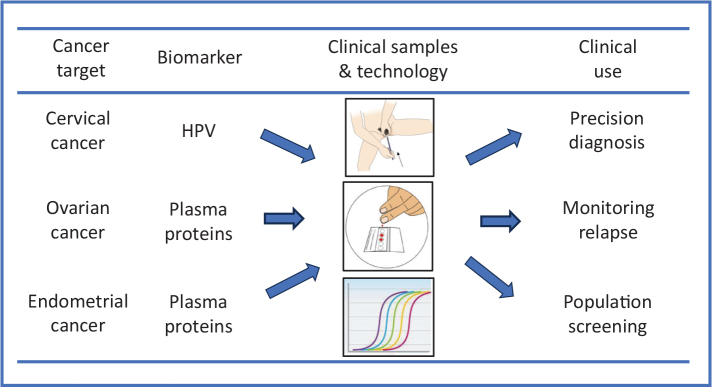 Novel diagnostics for improved treatment of gynecological cancer.