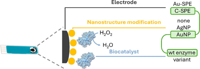 Miniaturized DyP Peroxidase-Based Biosensor for On-Site Open Air Use.