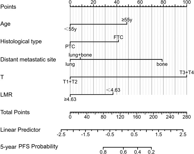 Nomogram Model for Prognosis of Distant Metastatic DTC Based on Inflammatory and Clinicopathological Factors.
