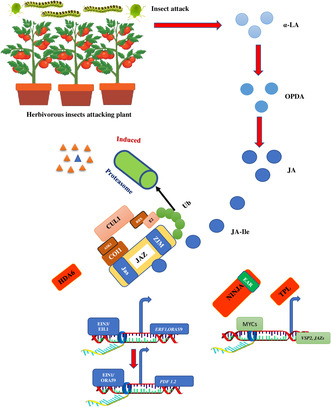 Plant Defense Responses to Insect Herbivores Through Molecular Signaling, Secondary Metabolites, and Associated Epigenetic Regulation.