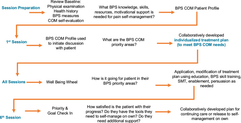 Supported biopsychosocial self-management for back-related leg pain: a randomized feasibility study integrating a whole person perspective.