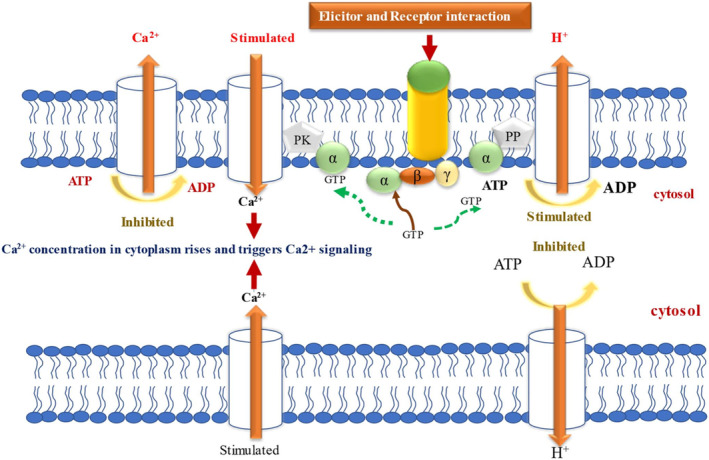 Plant Defense Responses to Insect Herbivores Through Molecular Signaling, Secondary Metabolites, and Associated Epigenetic Regulation.