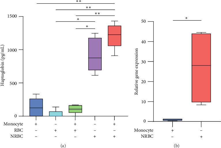 Nucleated Red Blood Cells Secrete Haptoglobin to Induce Immunosuppressive Function in Monocytes.