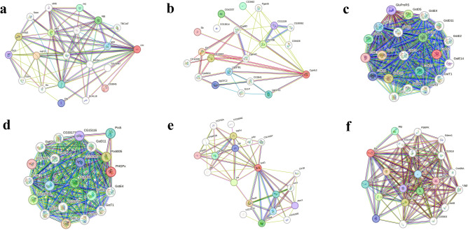 De novo Transcriptomic analysis to unveil the deltamethrin induced resistance mechanisms in Callosobruchus chinensis (L.).