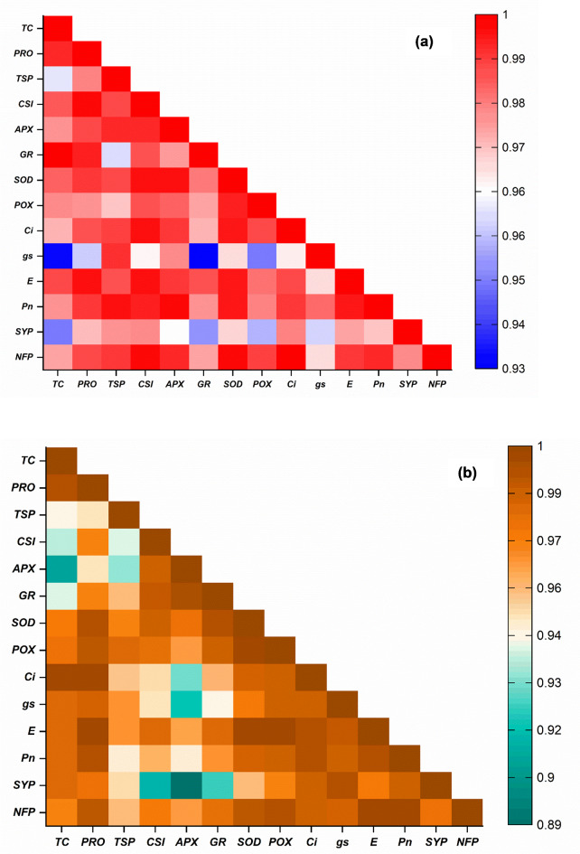 Enhancing drought tolerance in blackgram (Vigna mungo L. Hepper) through physiological and biochemical modulation by peanut shell carbon dots.