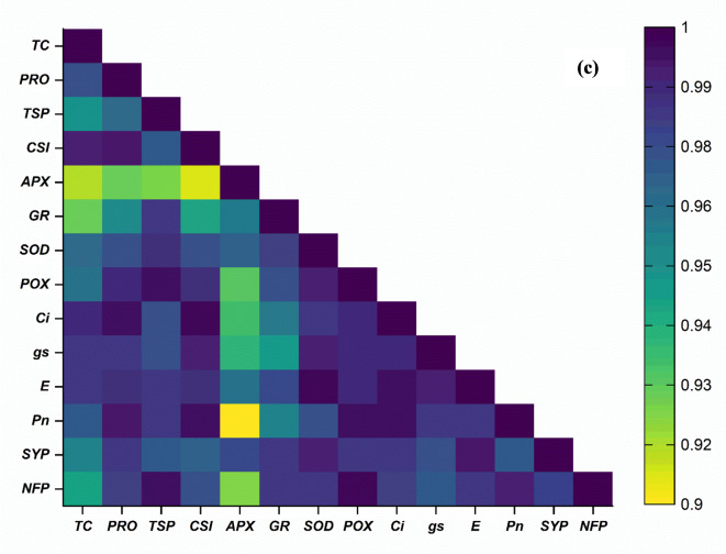 Enhancing drought tolerance in blackgram (Vigna mungo L. Hepper) through physiological and biochemical modulation by peanut shell carbon dots.