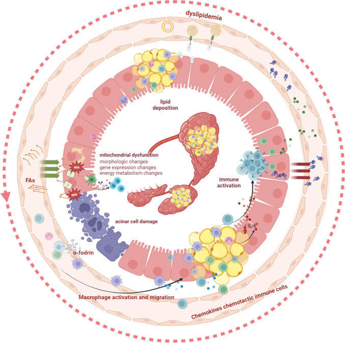 Lipid Metabolism: An Emerging Player in Sjögren's Syndrome.