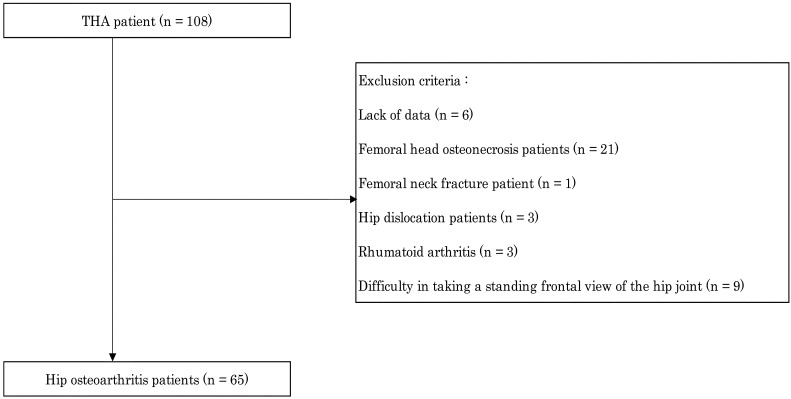 Preoperative Posterior Pelvic Tilt Angle is Associated with Decreased Gait Speed and Hip Function in Older Patients with Hip Osteoarthritis.