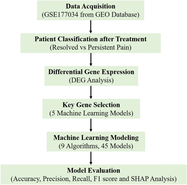Predicting Treatment Outcomes in Patients with Low Back Pain Using Gene Signature-Based Machine Learning Models.
