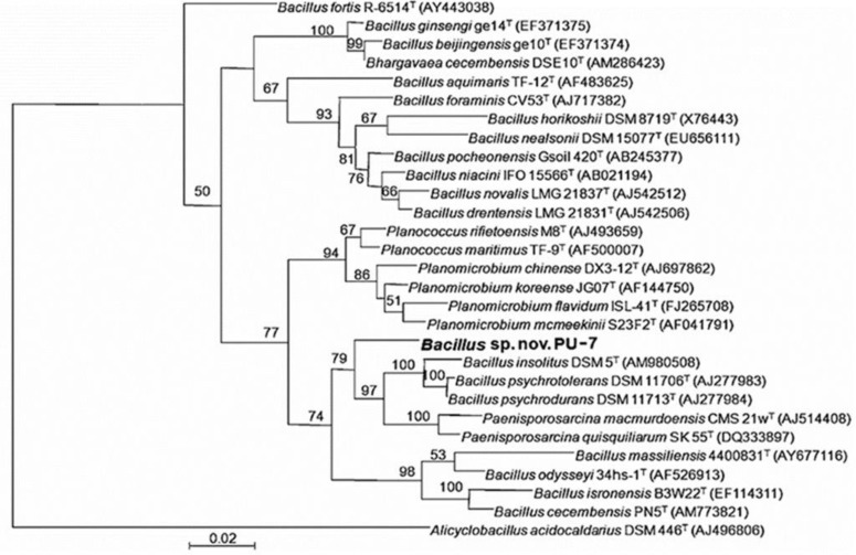 Synergistic effects of <i>Rhizobium, Bacillus</i> and Arbuscular Mycorrhizal fungi on enhancing cotton growth.