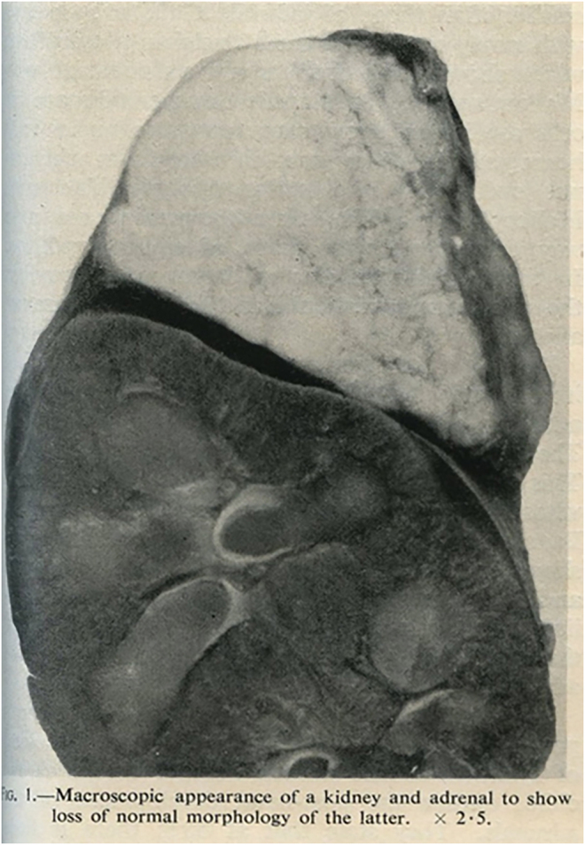 Abstract Image