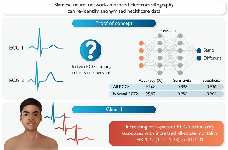 Siamese neural network-enhanced electrocardiography can re-identify anonymized healthcare data.