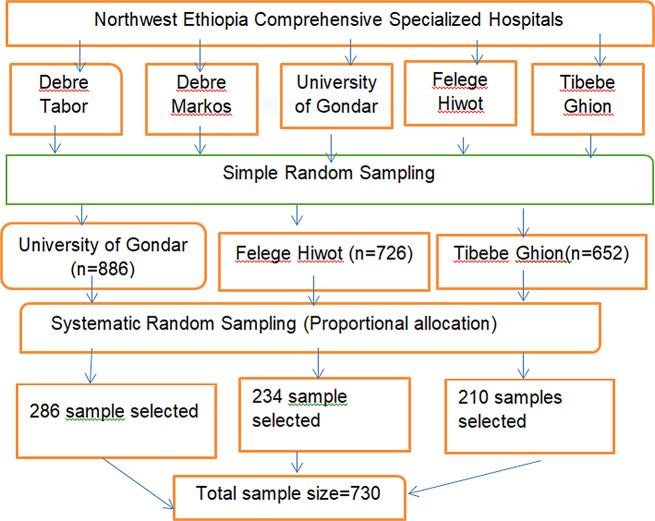 Prevalence of hypertensive retinopathy and its associated factors among adult hypertensive patients attending at Comprehensive Specialized Hospitals in Northwest Ethiopia, 2024, a multicenter cross-sectional study.