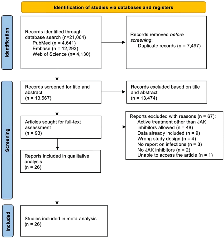 Risk of infections during treatment with oral Janus kinase inhibitors in randomized placebo-controlled trials: A systematic review and meta-analysis