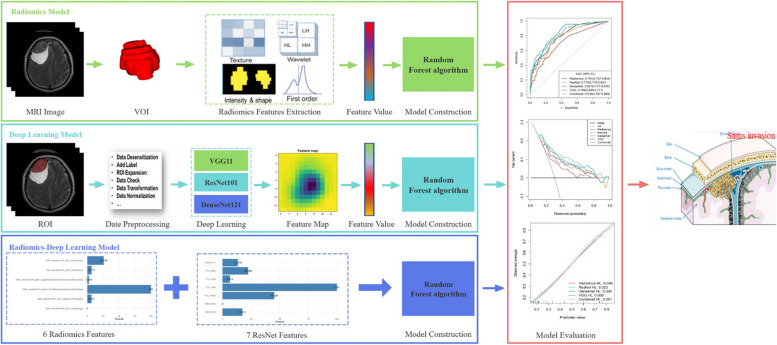 Preoperative diagnosis of meningioma sinus invasion based on MRI radiomics and deep learning: a multicenter study.