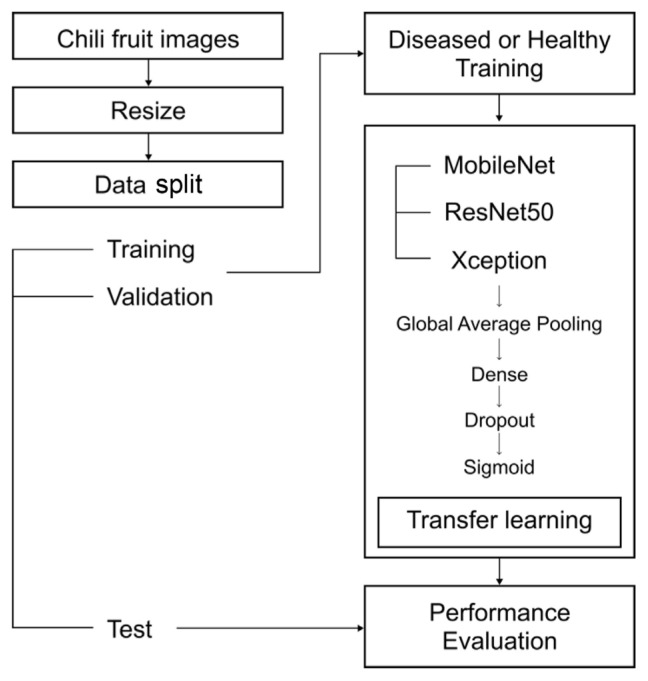 Diagnosis Anthracnose of Chili Pepper Using Convolutional Neural Networks Based Deep Learning Models.