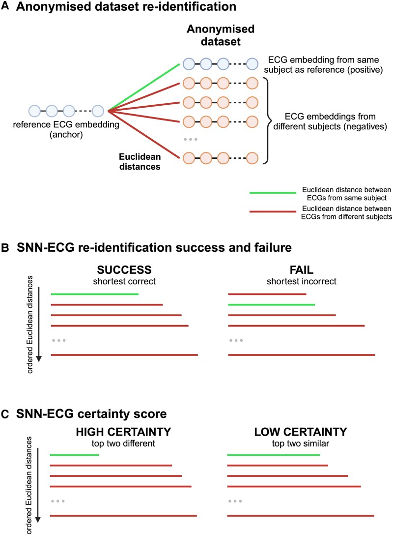 Siamese neural network-enhanced electrocardiography can re-identify anonymized healthcare data.
