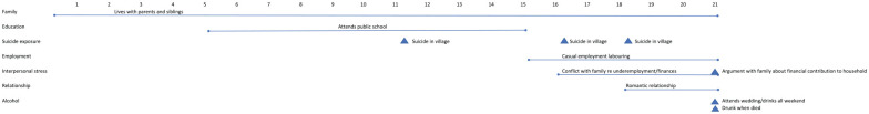 Pathways to suicide for children and youth in Guyana: A life charts analysis.