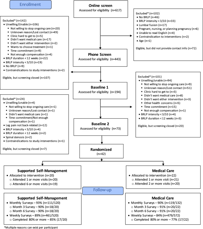 Supported biopsychosocial self-management for back-related leg pain: a randomized feasibility study integrating a whole person perspective.