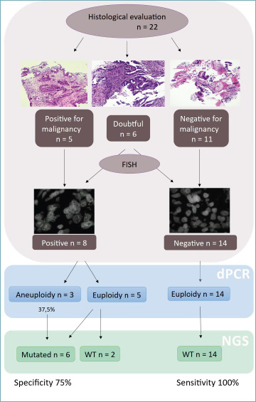 Morpho-molecular approach (NGS <i>plus</i> digital PCR) in diagnosis of malignant biliary strictures.