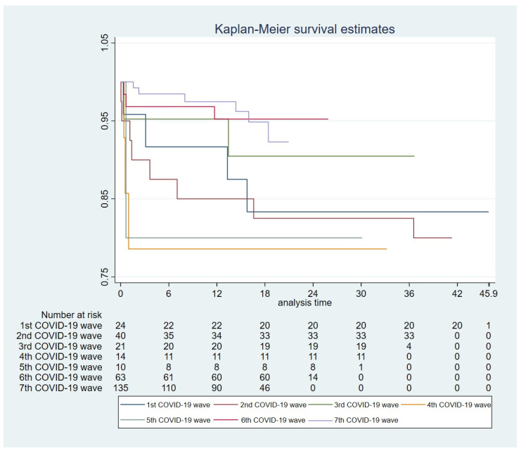 摘要图片