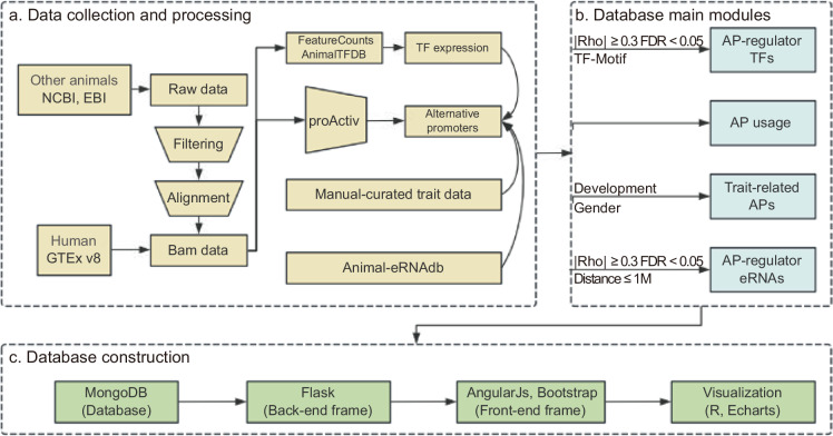 An Integrated Database for Exploring Alternative Promoters in Animals.