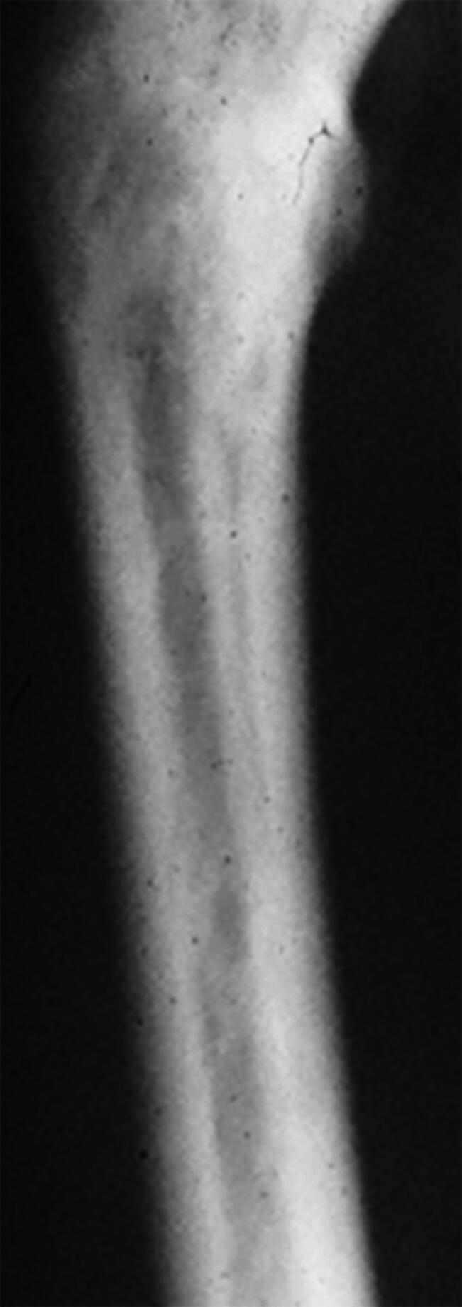 Abstract Image