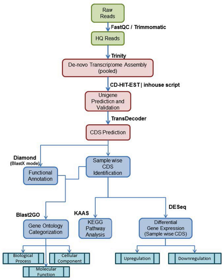 De novo Transcriptomic analysis to unveil the deltamethrin induced resistance mechanisms in Callosobruchus chinensis (L.).