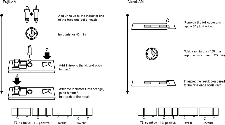 Assessing the accuracy of the updated Fujifilm SILVAMP TB LAM II assay between lot numbers.