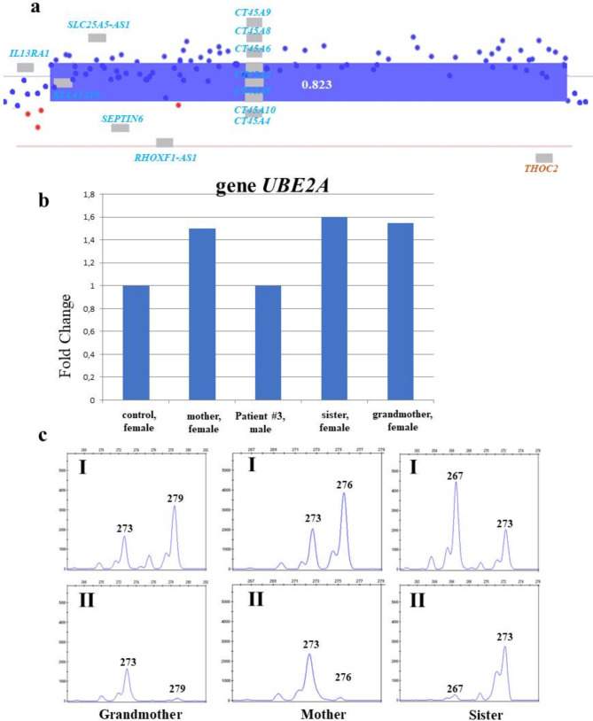 Prevalence of CNVs on the X chromosome in patients with neurodevelopmental disorders.