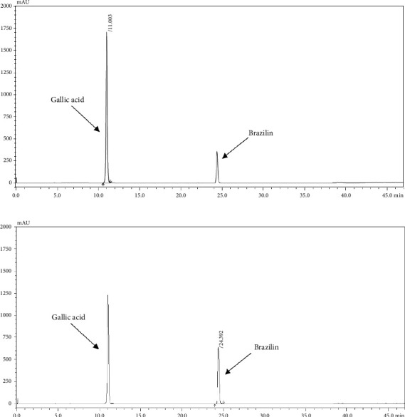 Anti-Inflammatory and Antimicrobial Effects of Herbal Formulation Called Apo-Taat Using Extended-Spectrum ß-Lactamase-Producing <i>Escherichia coli</i> Isolates.