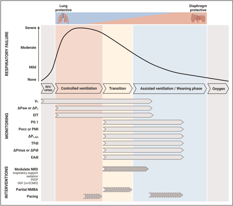 Advances in achieving lung and diaphragm-protective ventilation.