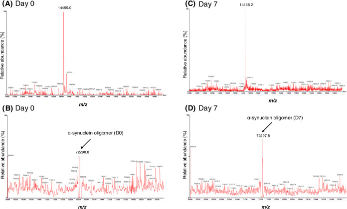 Molecular Insights into α-Synuclein Fibrillation: A Raman Spectroscopy and Machine Learning Approach.