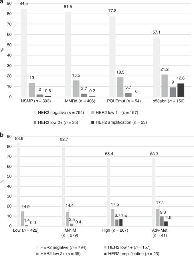 HER2 amplification and HER2 low expression in endometrial carcinoma: prevalence across molecular, histological and clinicopathological risk groups.