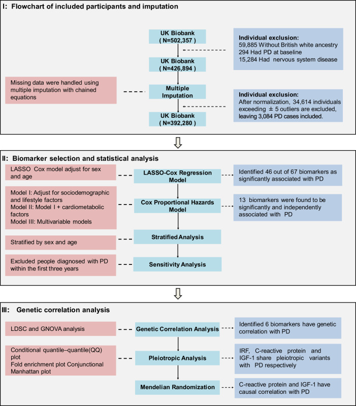 Abstract Image