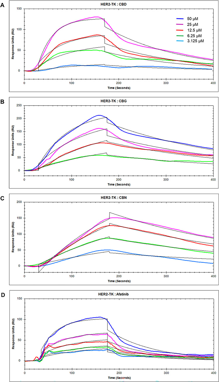 Cannabinoids as Promising Inhibitors of HER2-Tyrosine Kinase: A Novel Strategy for Targeting HER2-Positive Ovarian Cancer.