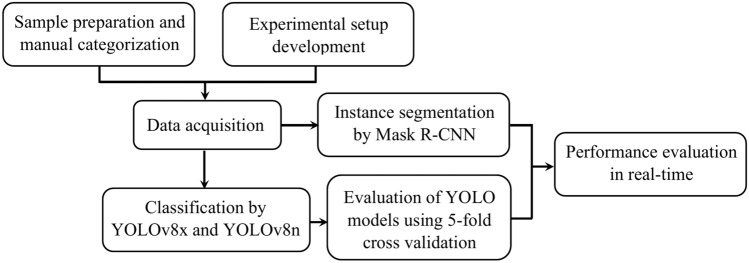 Automated grading of oleaster fruit using deep learning.