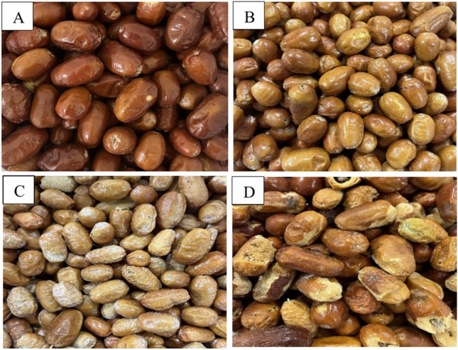 Automated grading of oleaster fruit using deep learning.