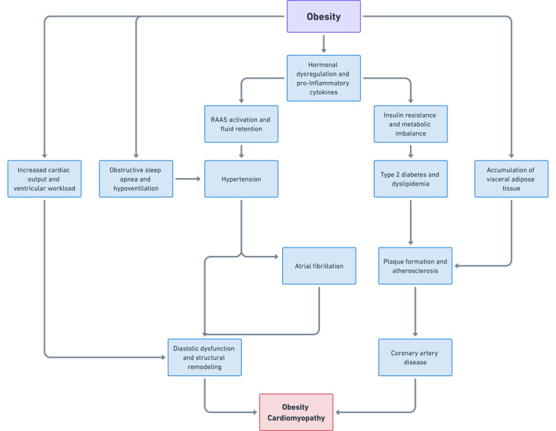 The Impact of Obesity on Cardiovascular Diseases: Heart Failure.