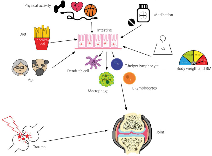 The gut microbiome and osteoarthritis.