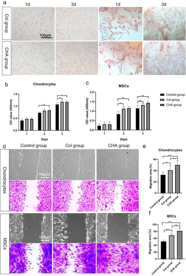 A bilayer scaffold of collagen and nanohydroxyapatite promotes osteochondral defect in rabbit knee joints.