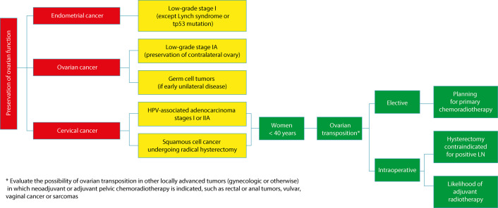 Menopause in gynecologic cancer survivors: evidence for decision-making.