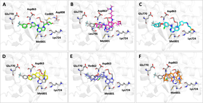 Cannabinoids as Promising Inhibitors of HER2-Tyrosine Kinase: A Novel Strategy for Targeting HER2-Positive Ovarian Cancer.