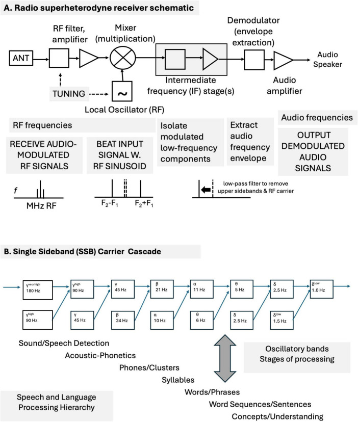 Time-domain brain: temporal mechanisms for brain functions using time-delay nets, holographic processes, radio communications, and emergent oscillatory sequences.