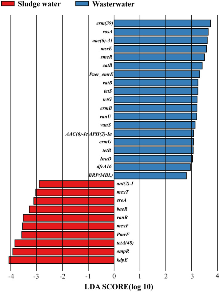 Abstract Image