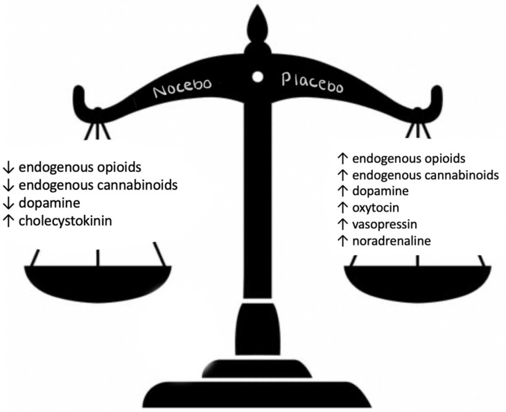 Justice for Placebo: Placebo Effect in Clinical Trials and Everyday Practice.